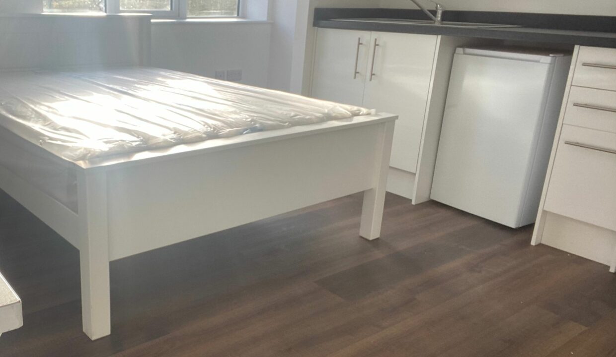 White Swam Studio 4