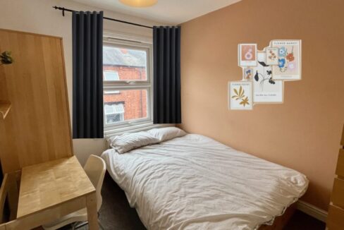 bed 3 .1